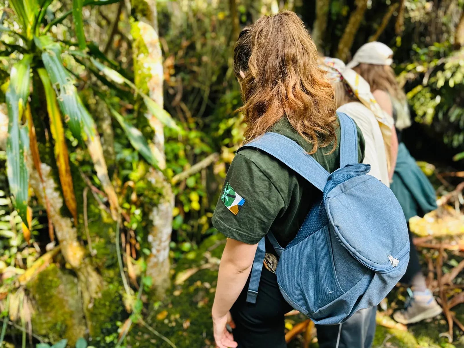 Gäste, die Berggorillas im Volcanoes National Park in Ruanda trekken