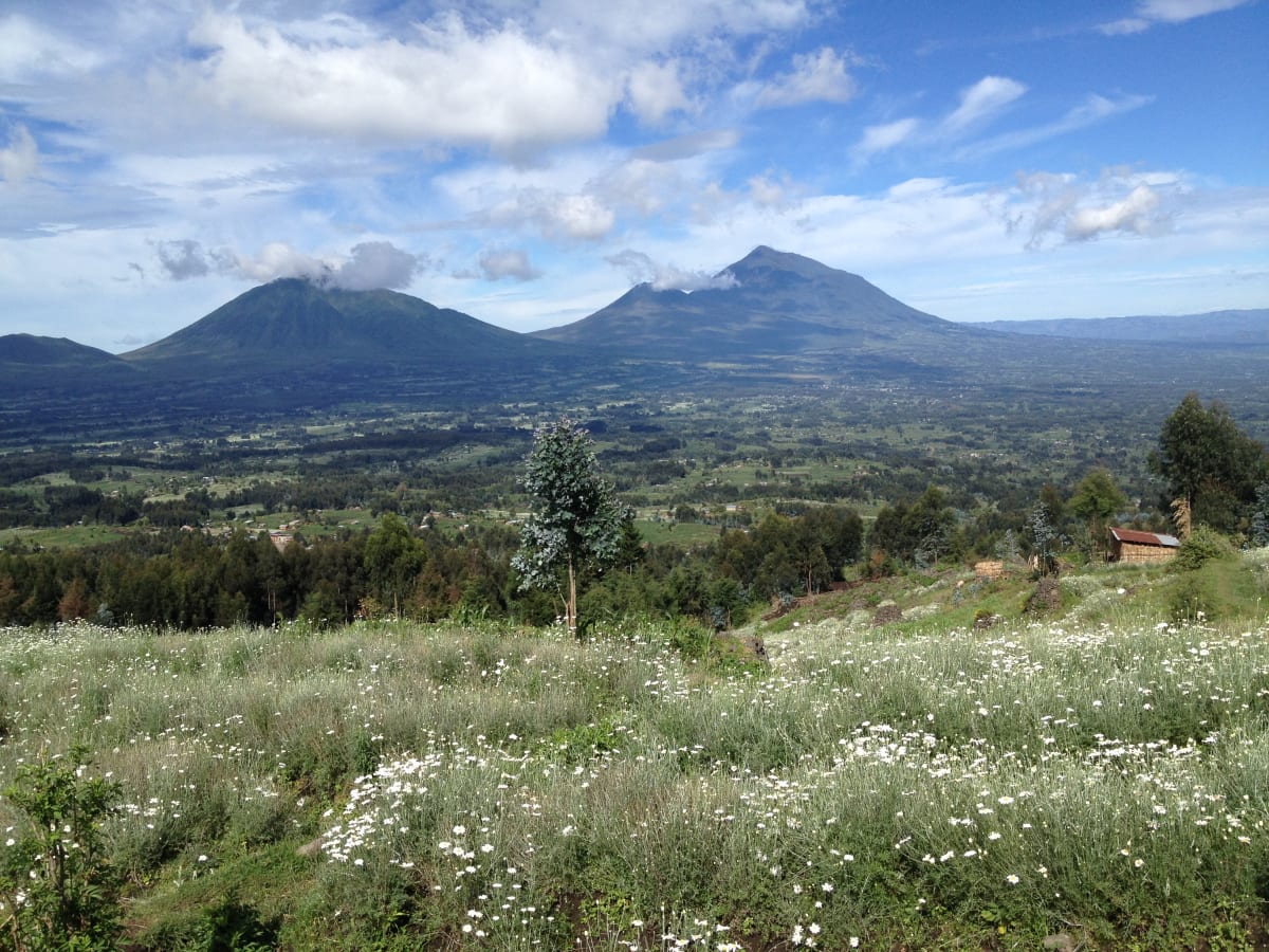 What to Do in Volcanoes National Park, Rwanda? 12 Ideas for 2 to 4 Days