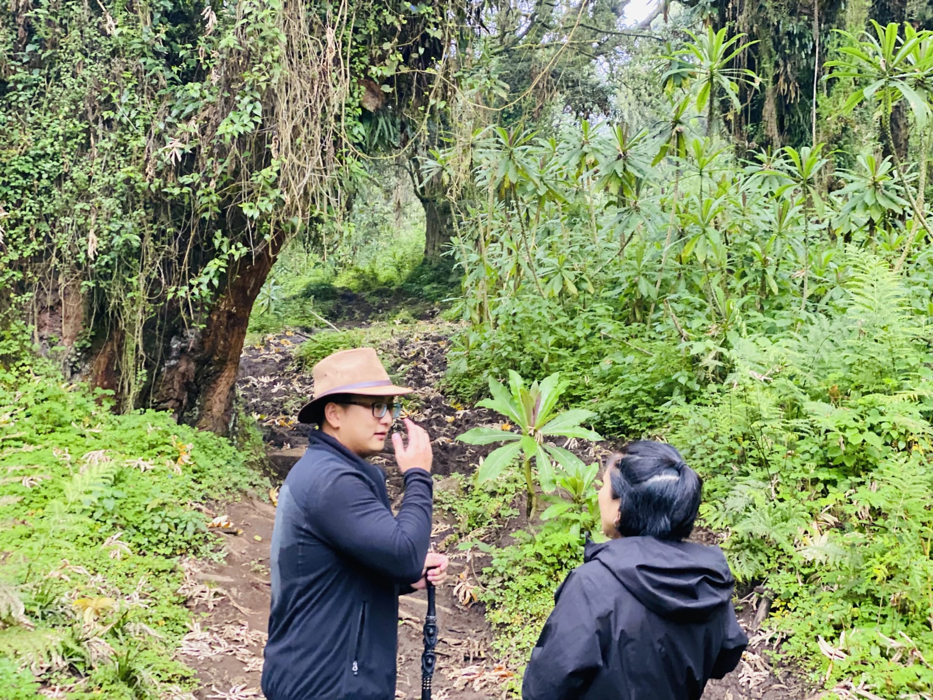 Two hikers on a forest trail on the way to Dian Fossey's grave in Volcanoes National Park