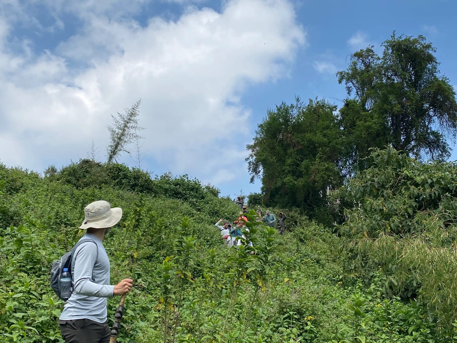 Des touristes observant les gorilles des montagnes dans la forêt tropicale du Rwanda lors d'une expérience de trekking de gorilles inoubliable, captivés par la rencontre rapprochée avec ces primates menacés.