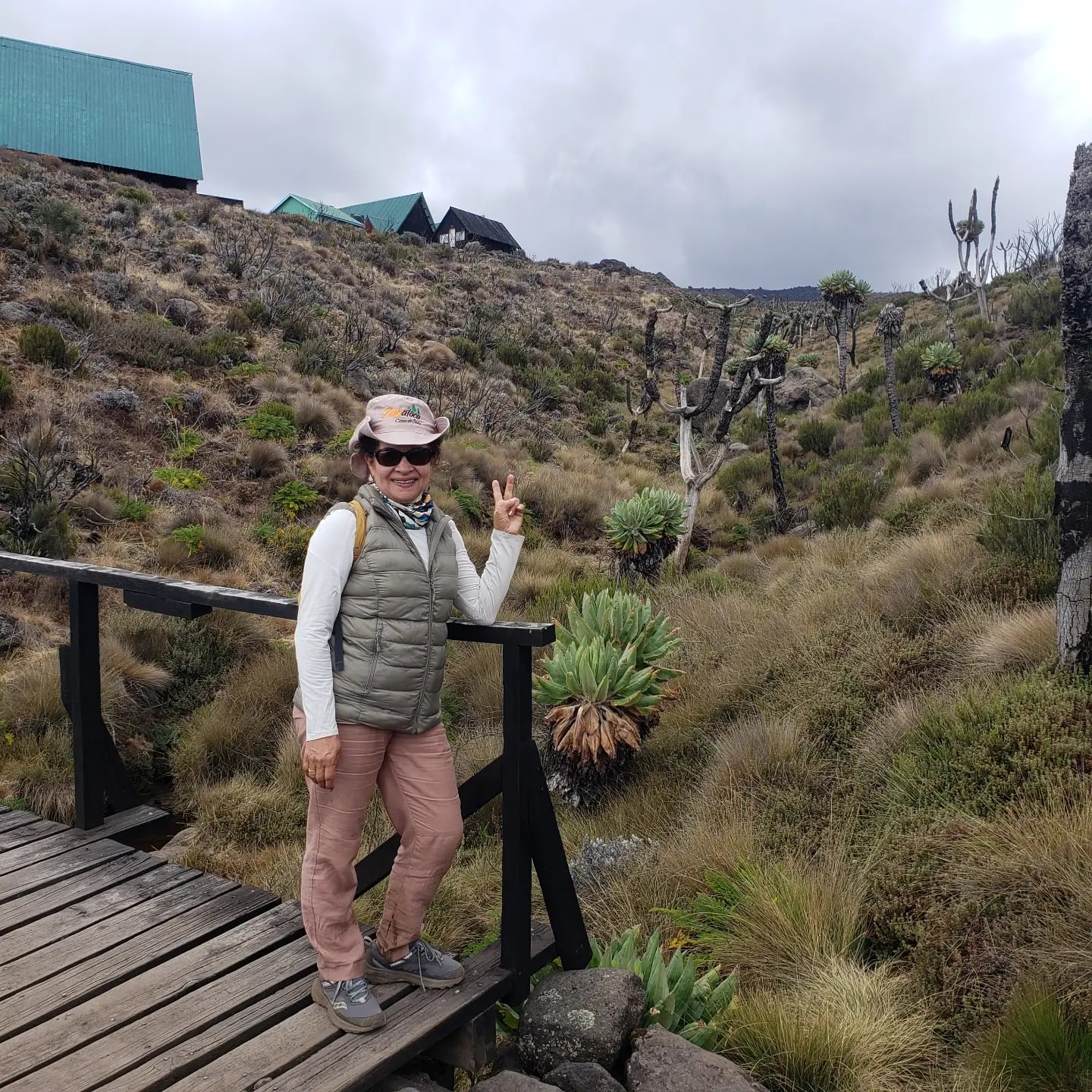 12-Day Kilimanjaro Hike & Tanzania Wildlife Safari