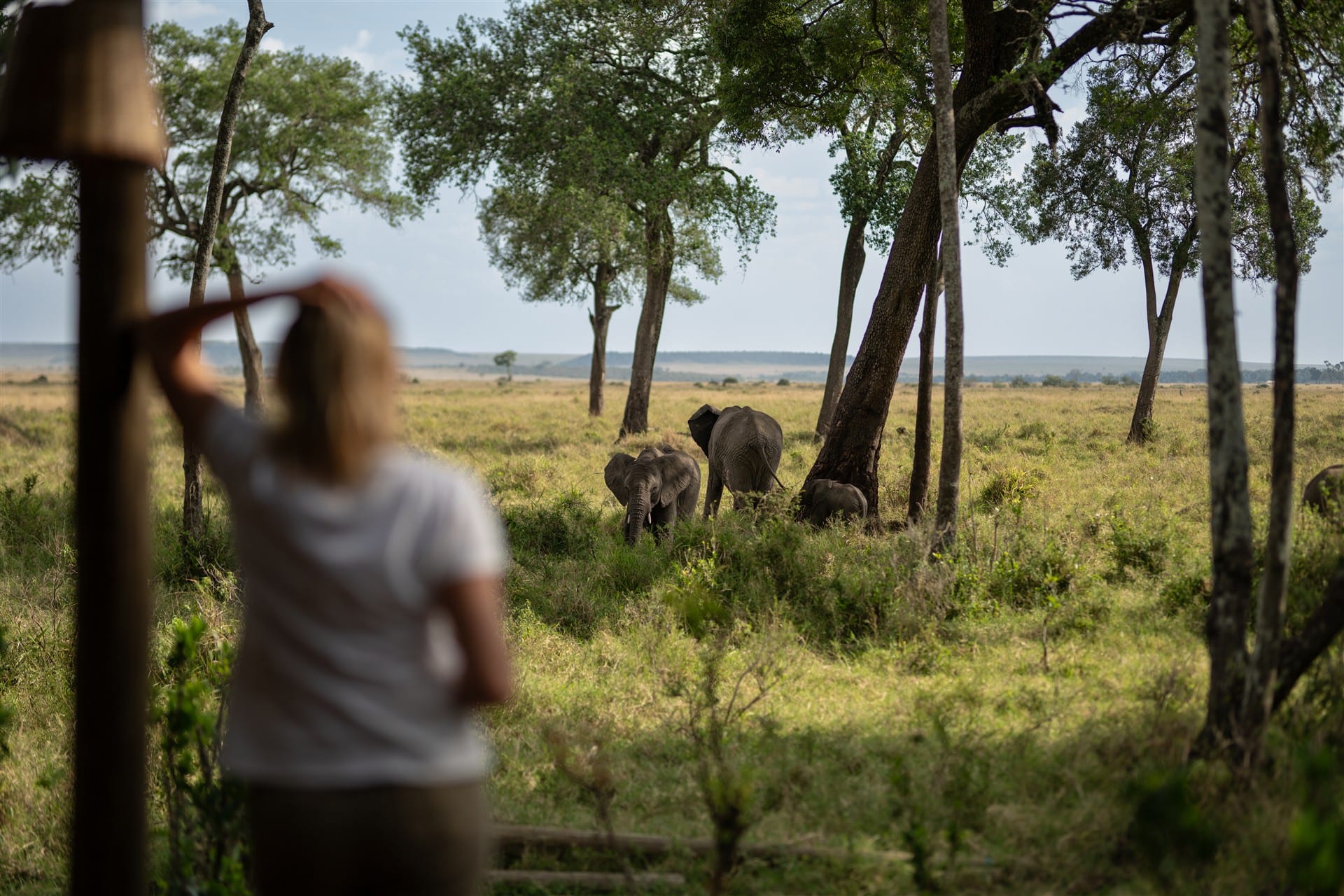 5-Day Luxury Kruger & Sabi Sands Big Five Safari