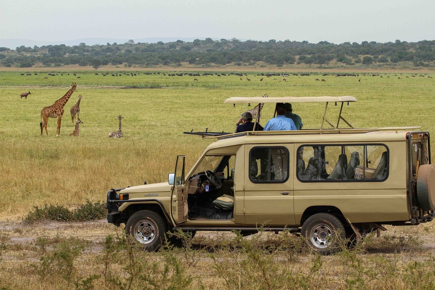 5-Day Uganda Family Safari: Wildlife, Boat Cruise & Easy Nature Walks