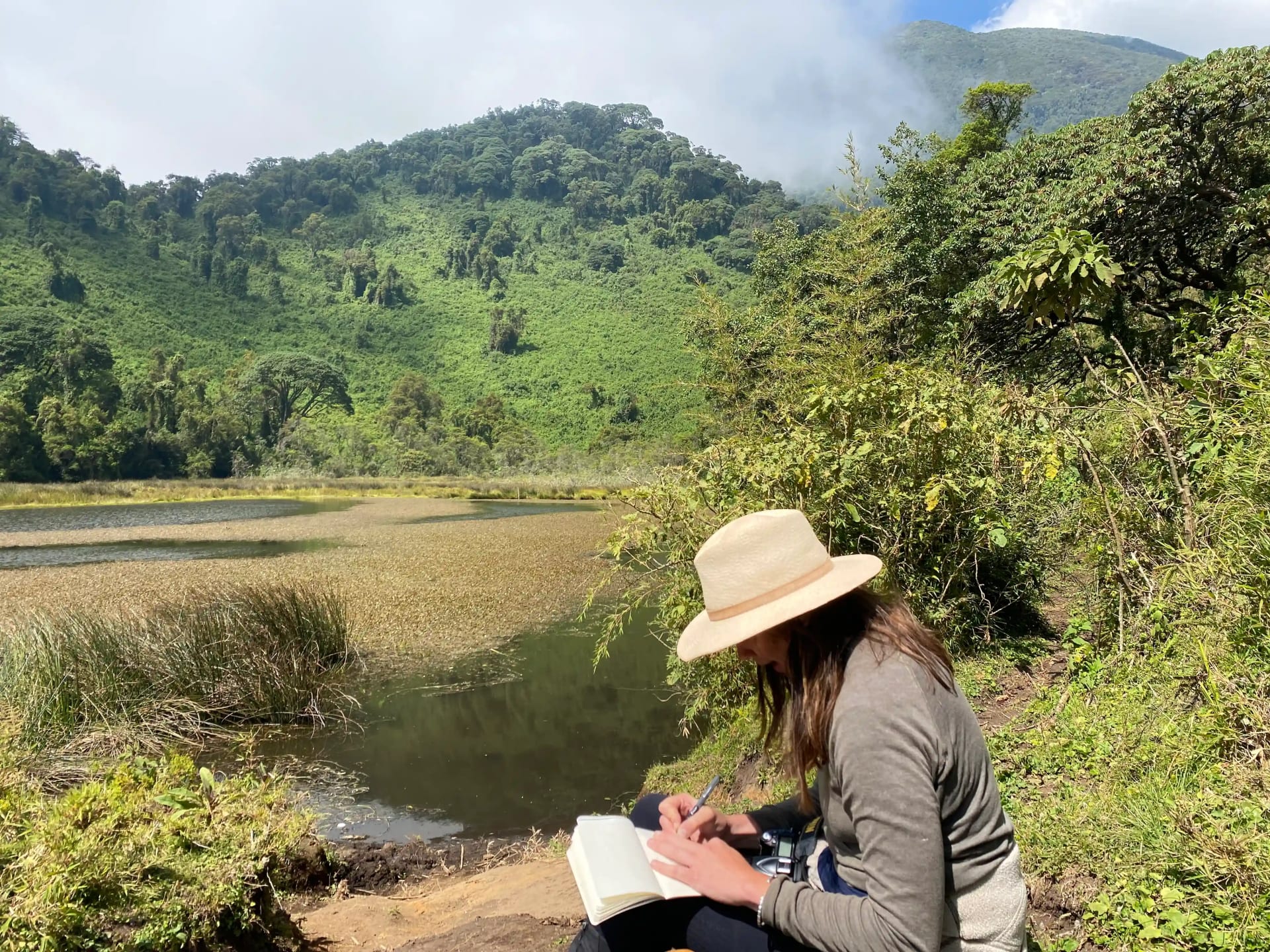 Un voyageur explorant le Ngezi dans le Parc national des Volcans lors de l'un des 10 meilleurs circuits de randonnée au Rwanda, entouré d'une forêt tropicale luxuriante et de paysages volcaniques.