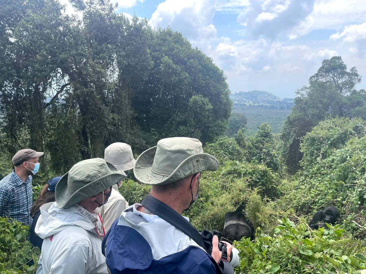 American and European travelers doing gorilla trekking in Rwanda for a primate safari