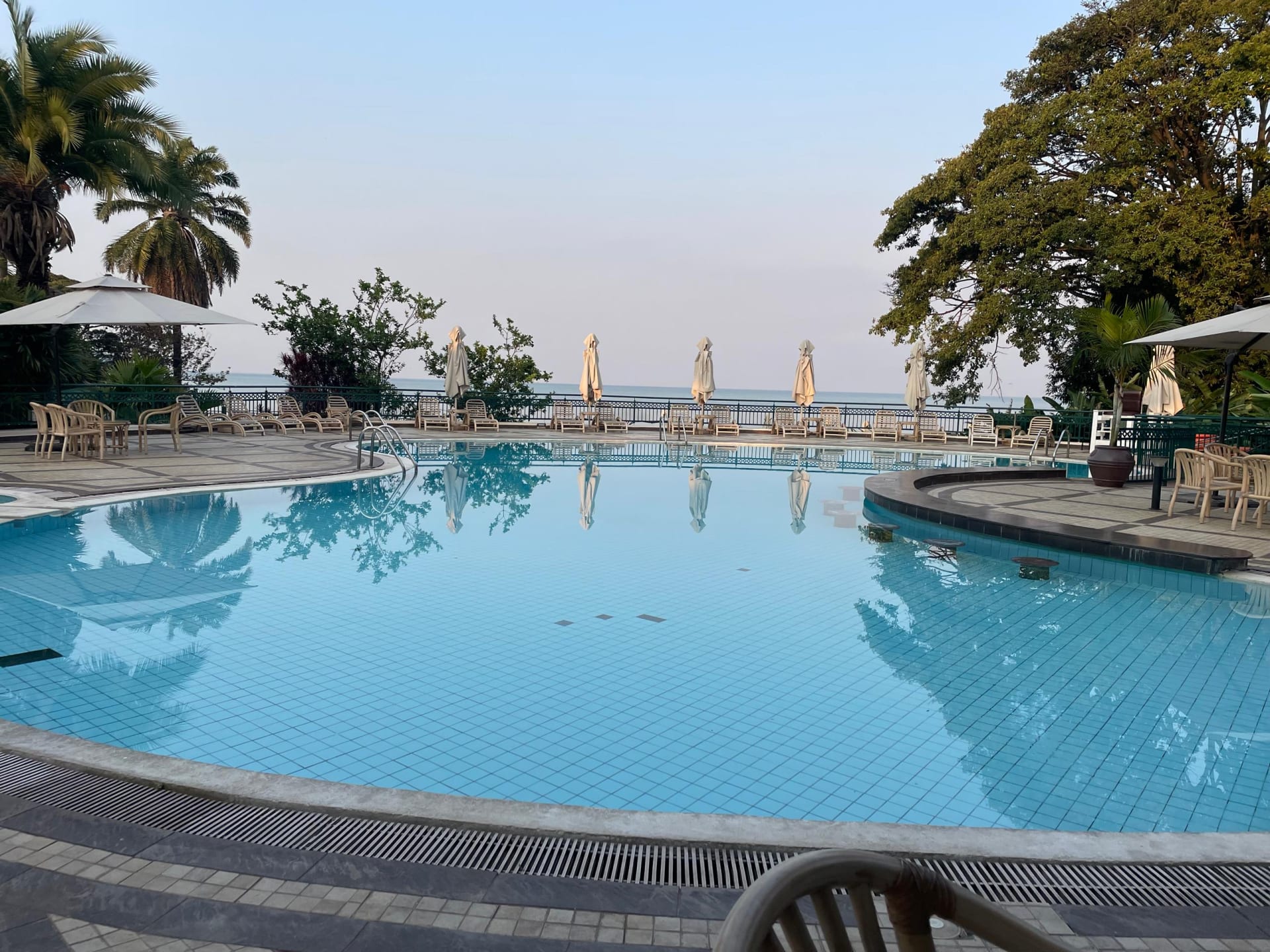 A swimming pool with palm trees beside a lake at a lodge
