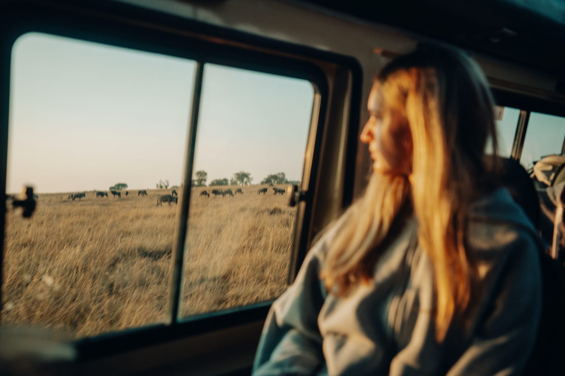A woman in an open safari vehicle looking out over dry grassland in South Africa
