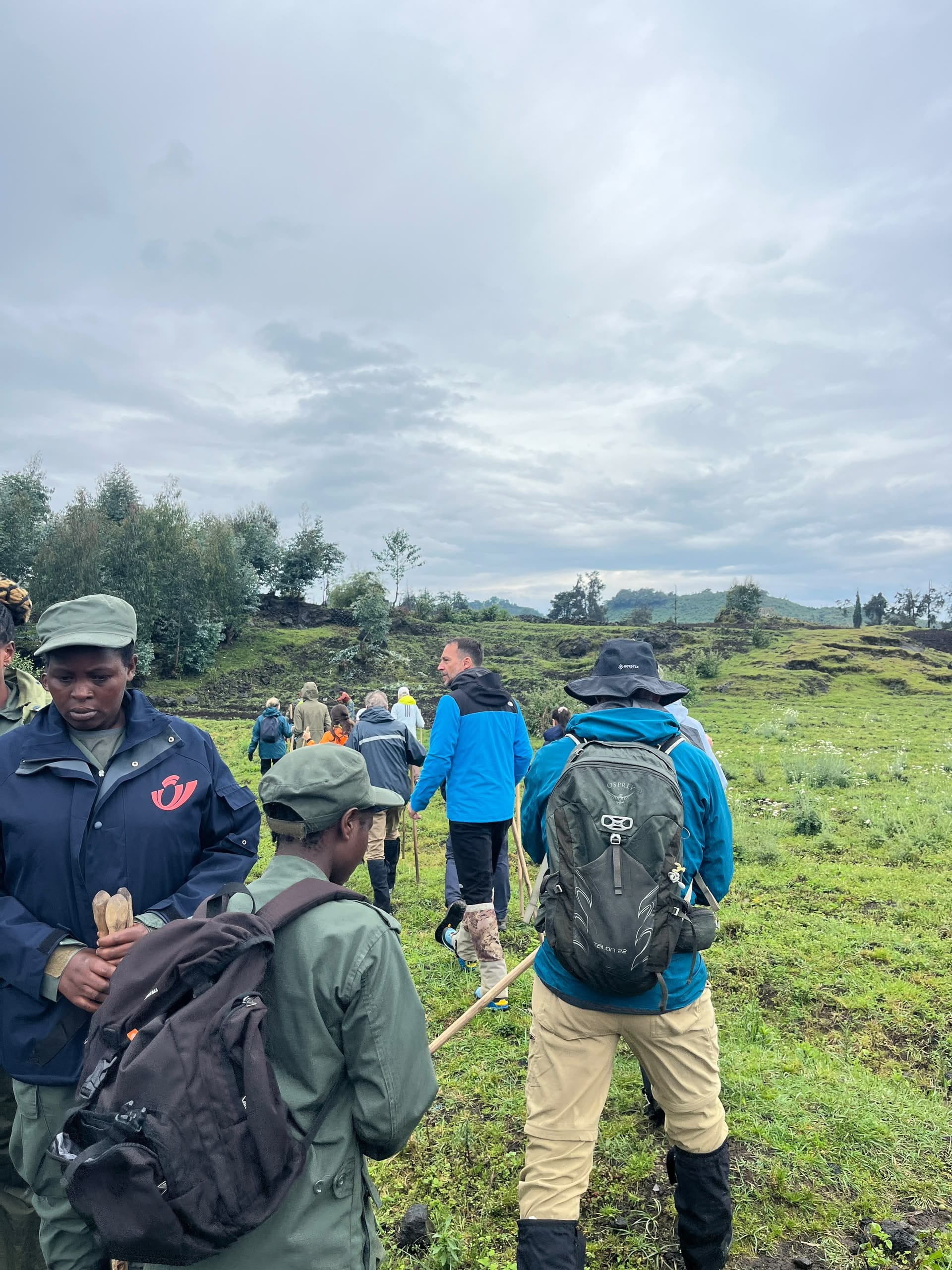 A guide and hikers on a trail through the Virunga volcanoes