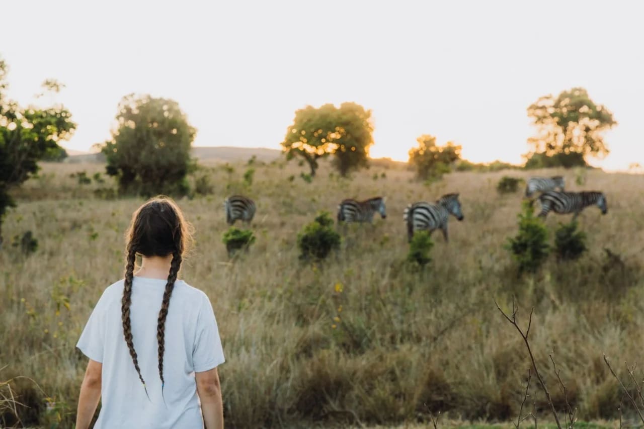 Eine Reisende bei einer Wandersafari beobachtet Zebras im Serengeti-Nationalpark, Tansania — authentisches afrikanisches Wildtierabenteuer-Erlebnis.