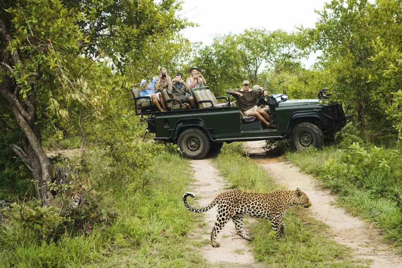 Guests on a Big Five game drive in Sabi Sand Game Reserve, South Africa, watching a wild leopard from an open safari vehicle during an unforgettable luxury wildlife safari near Kruger National Park.