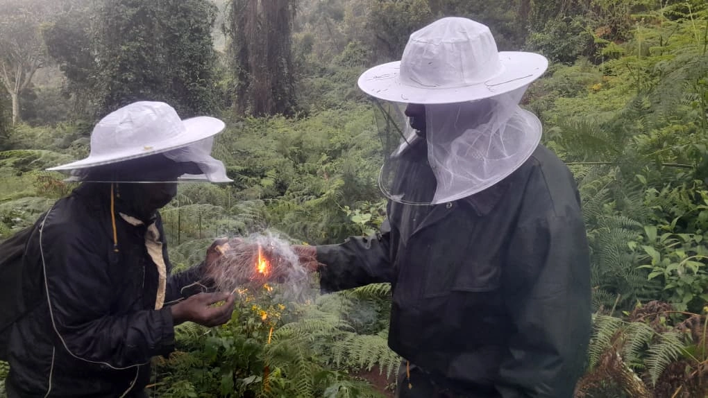 Un día completo con los Guardianes de Eco Hive