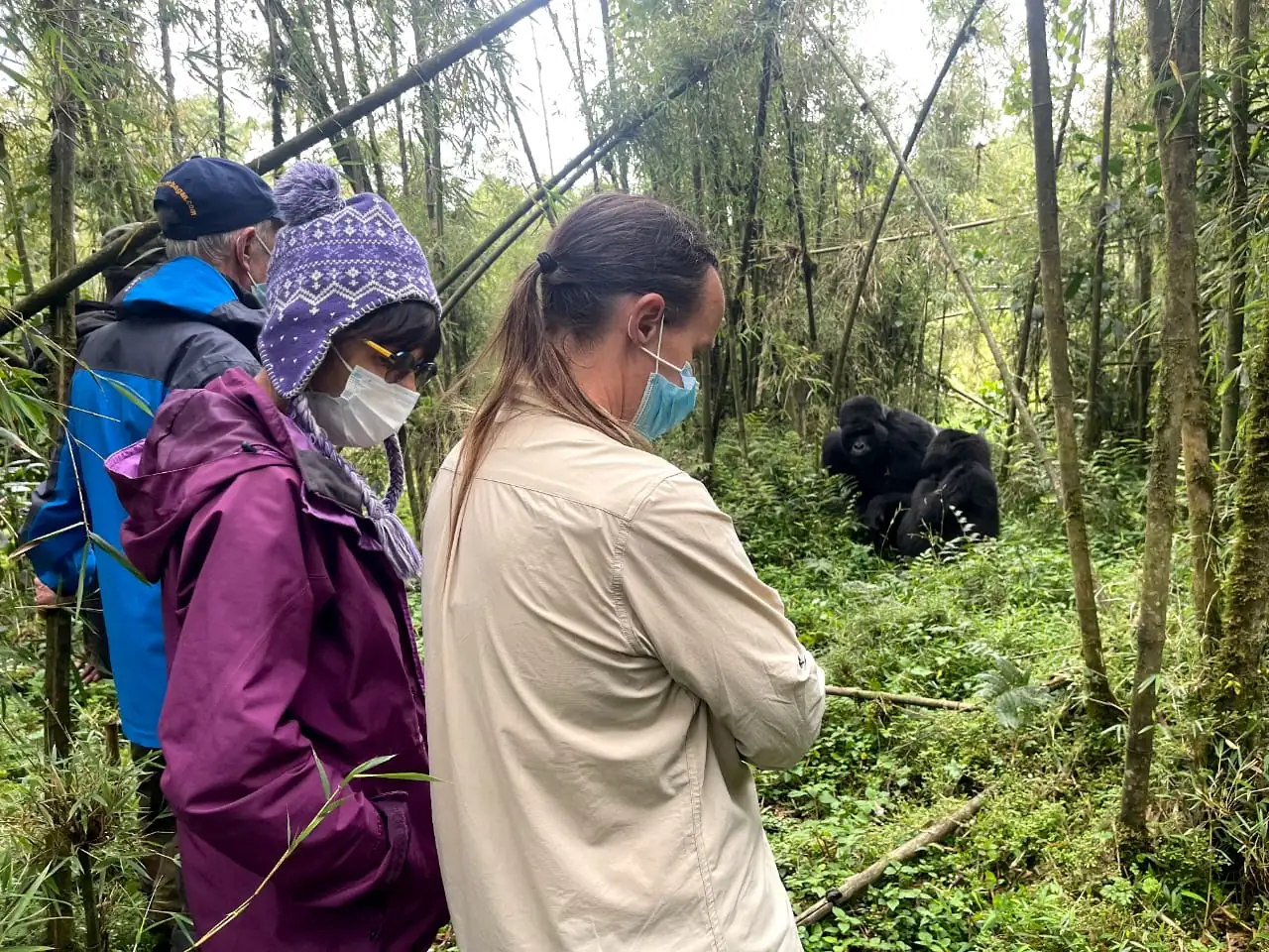 Invitados en la experiencia de trekking de gorilas en el Parque Nacional de los Volcanes de Ruanda