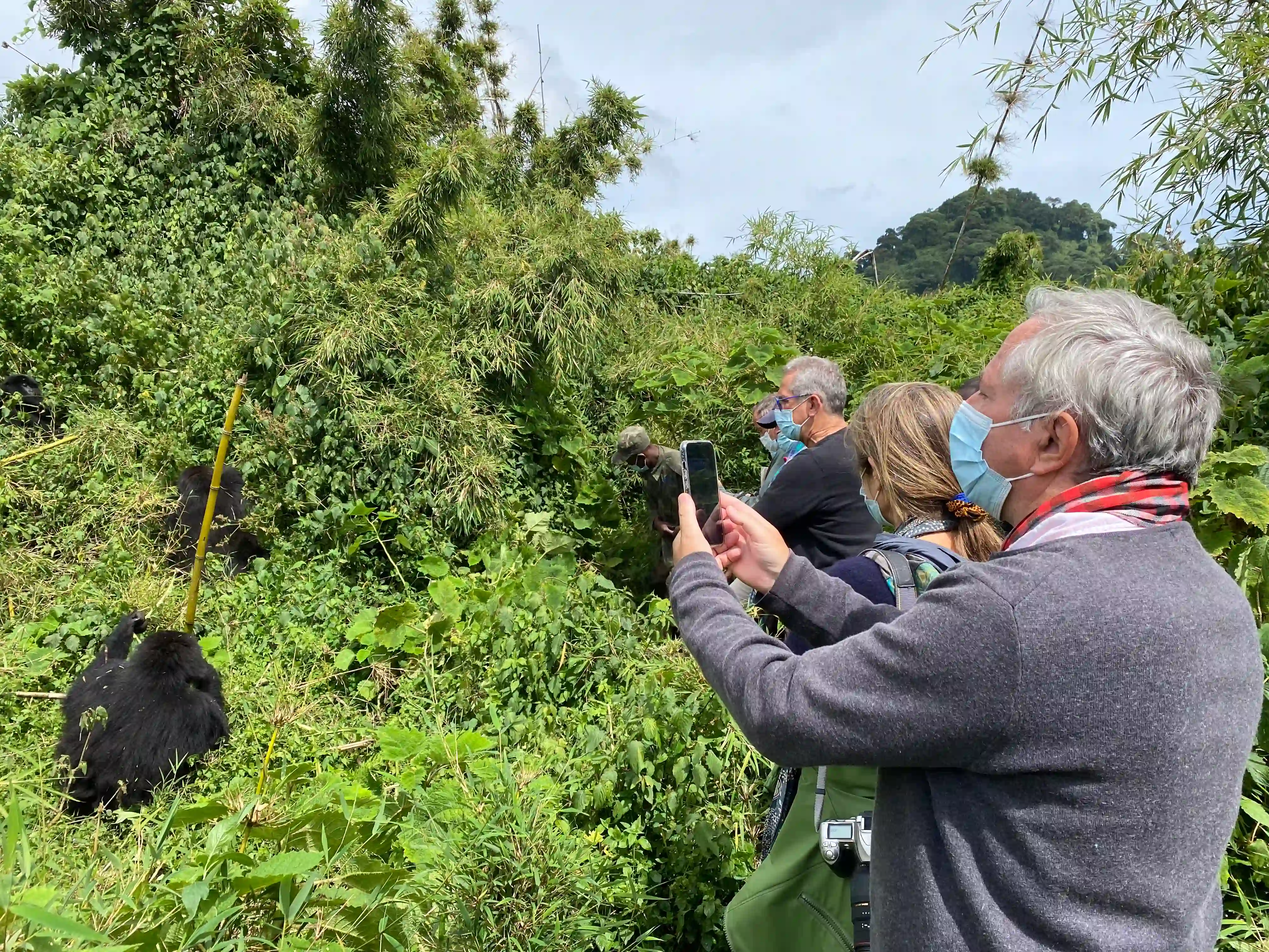 Los huéspedes haciendo trekking de gorilas en el Parque Nacional de los Volcanes
