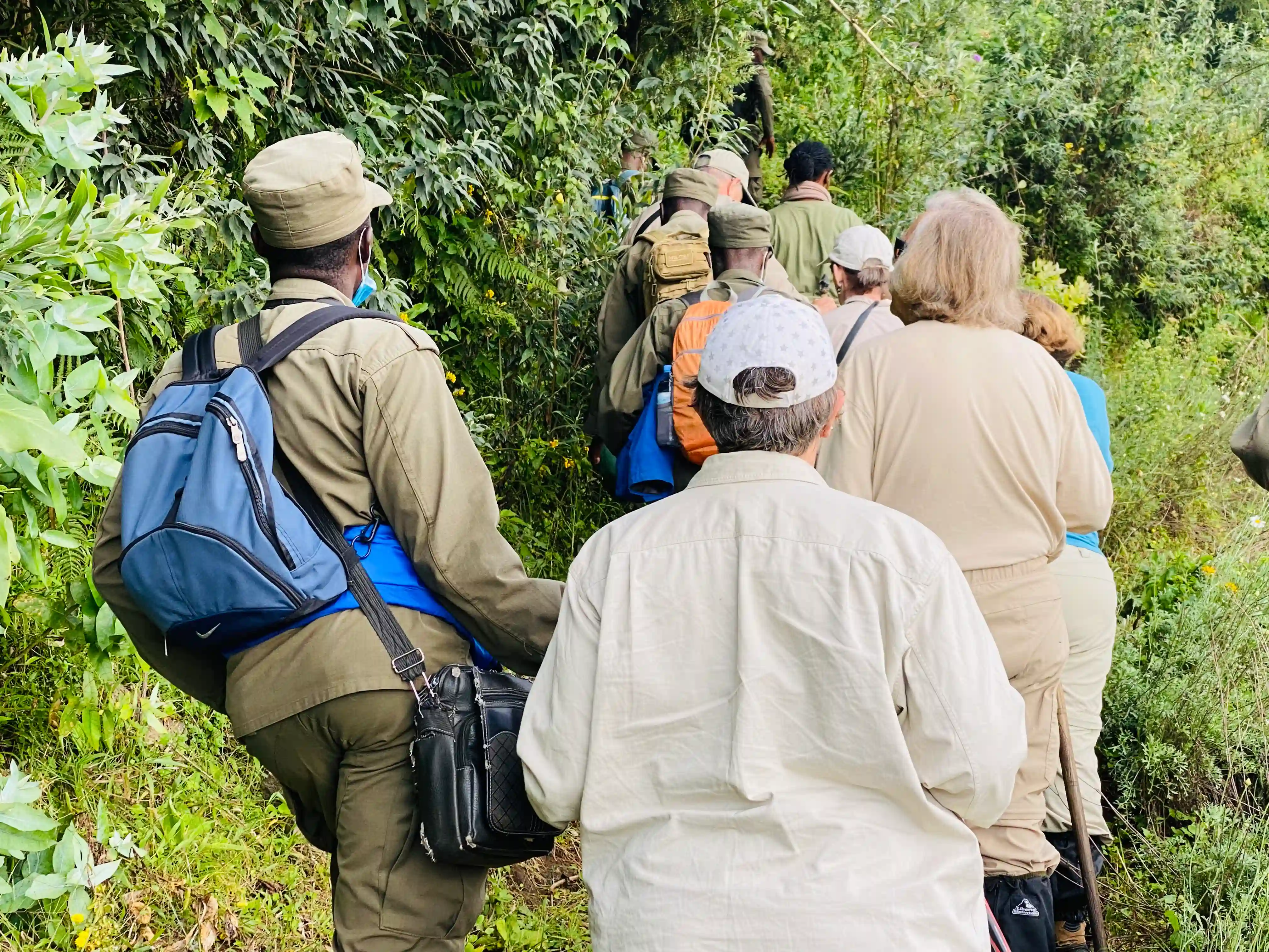 Eine Gruppe von Gästen, die in Uganda Gorilla-Trekking unternehmen