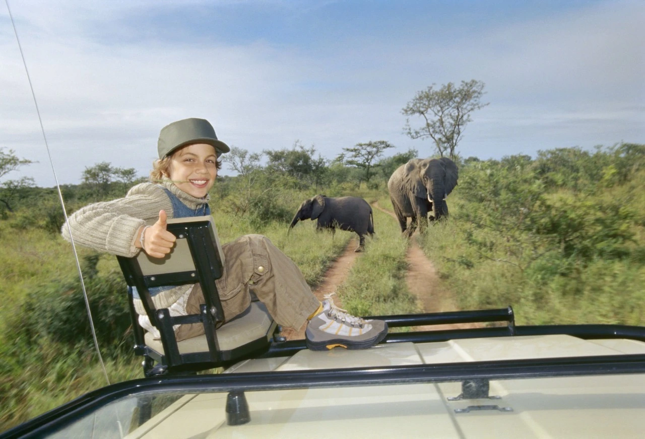 oung boy on a family-friendly game drive watching an African elephant in Sabi Sand Game Reserve, South Africa, during an 8-day Big Five safari adventure featuring wildlife viewing, luxury safari experiences, and Cape Town tours.