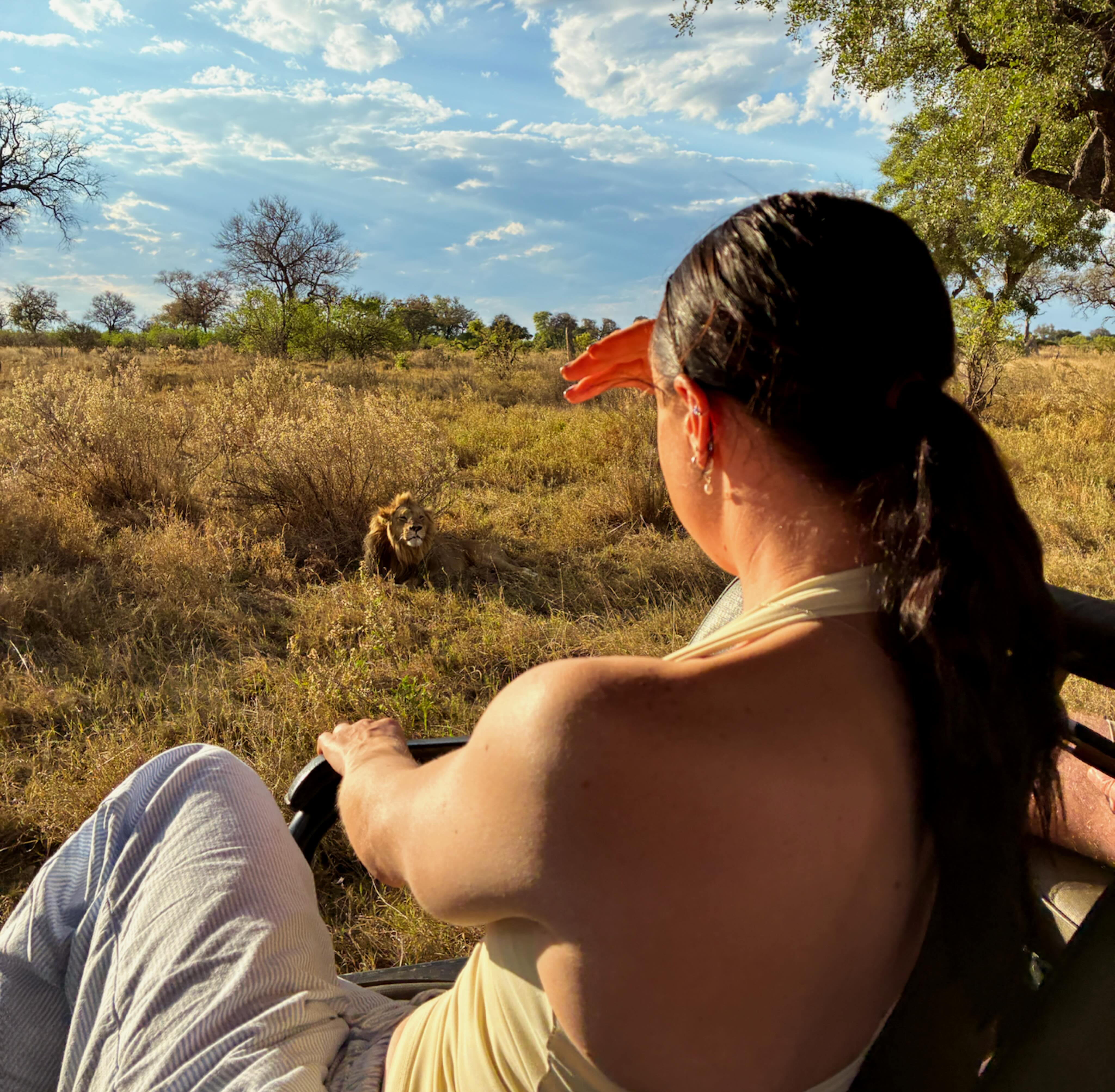 A woman looking out over dry grassland from a game drive vehicle