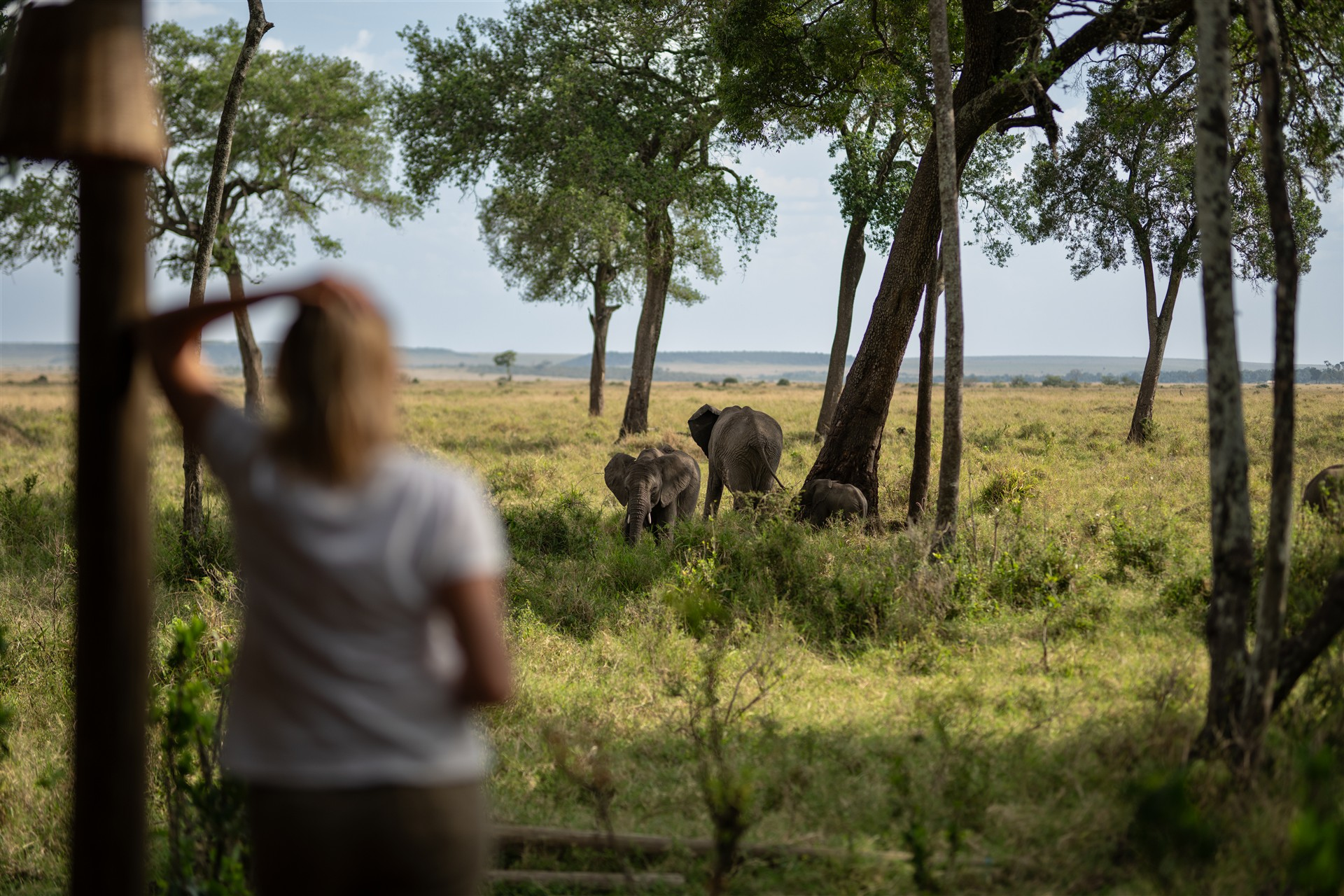 Une femme observant des éléphants depuis le pont d'un lodge dans une réserve sud-africaine
