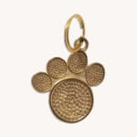 Moonglow Jewelry Pet ID Tags Moonglow Pet Tag in Gold