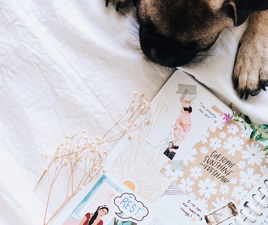 8 Journal Prompts for Clarity and Connection for the Full Moon and Beyond