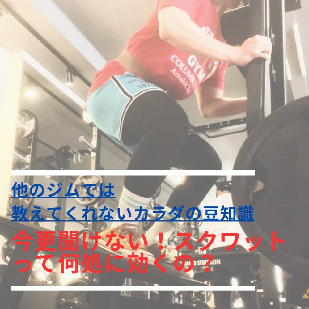 MOMCHANG FITNESS GYM（モムチャンフィットネスジム）