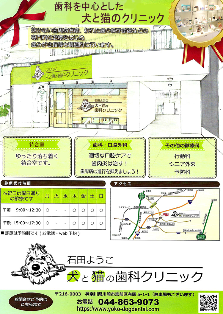 石田ようこ 犬と猫の歯科クリニック