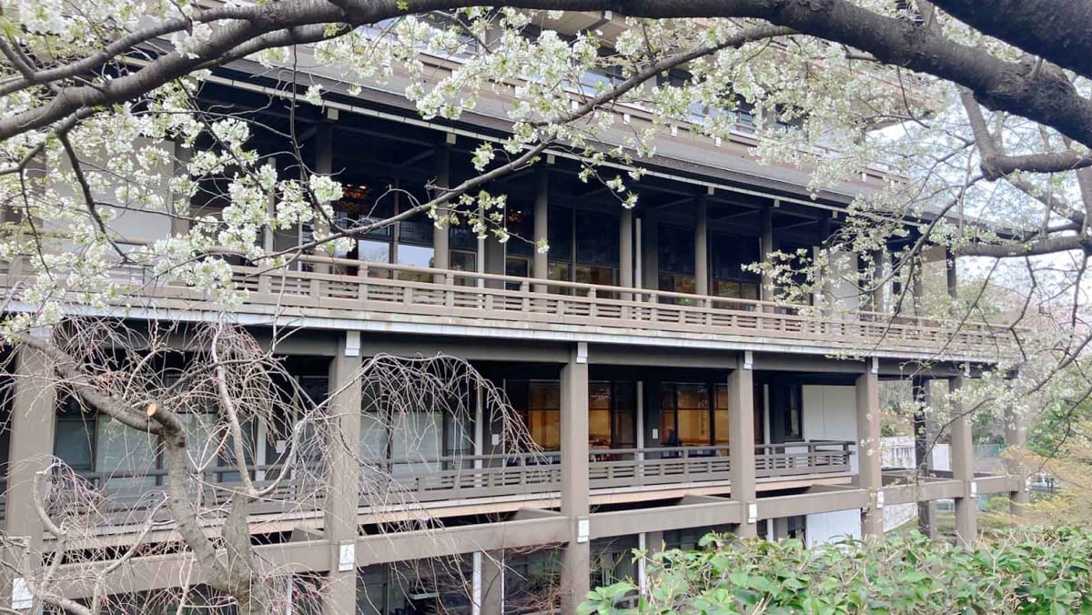 【鶴見区】春のお出かけを楽しもう！～お花見特集2026～