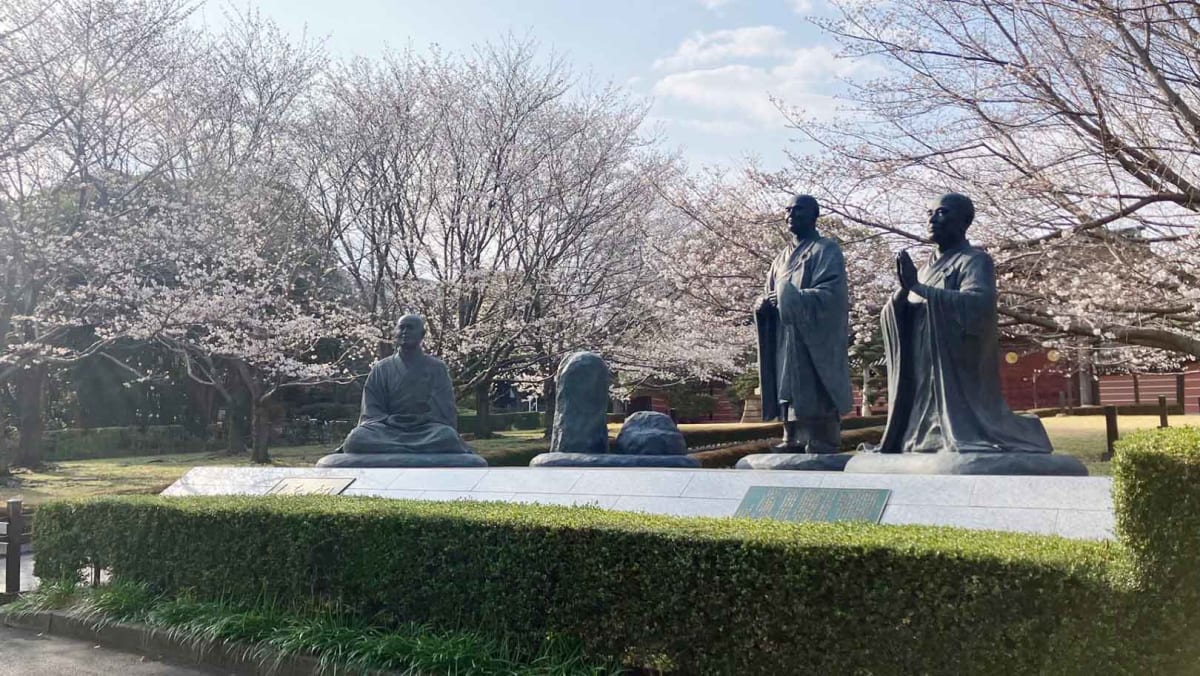 【鶴見区】春のお出かけを楽しもう！～お花見特集2026～