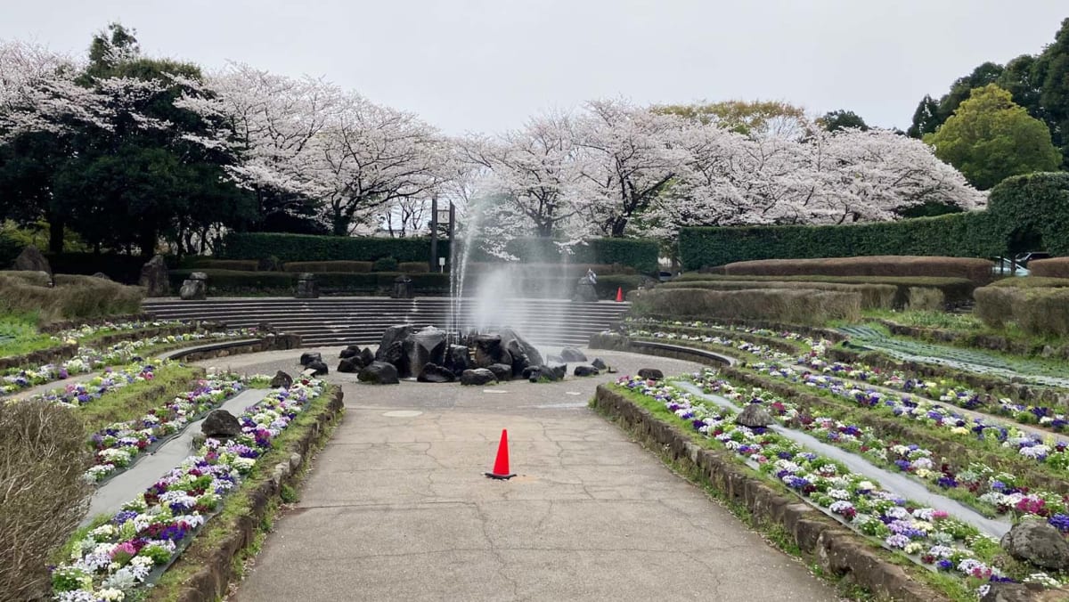 【緑区】春のお出かけを楽しもう！～お花見特集2026～