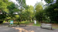 日吉の丘公園（ひよしのおかこうえん）