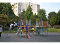 大学が見える公園 小さな公園シリーズ】大三角公園に行ってみた。 | 浦安に住