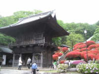 等覚院『つつじ寺』