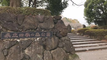 神奈川県立四季の森公園