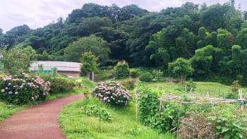 師岡町梅の丘公園（もろおかちょううめのおかこうえん）