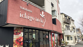 いちごの樹 横浜・日吉本店