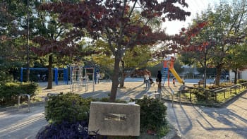 樽町しょうぶ公園（たるまちしょうぶこうえん）