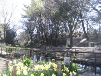藤が丘公園