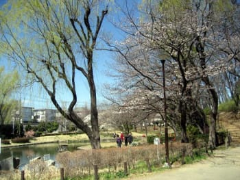 桜台公園