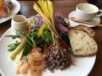 Healthy Kitchen910