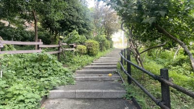 殿山公園