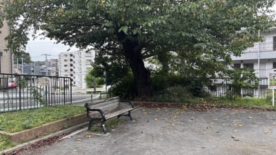 西寺尾第三公園