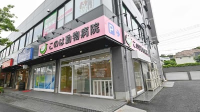 このは動物病院