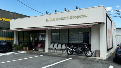はる動物病院