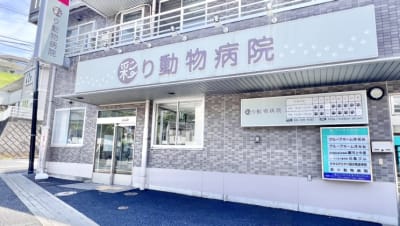 彩り動物病院