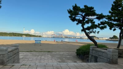 海の公園