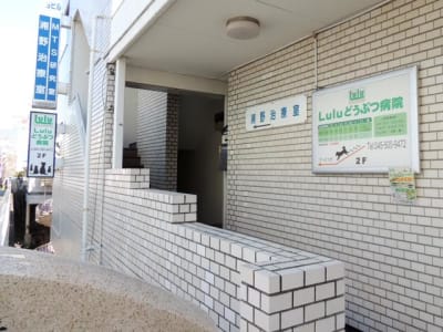 Luluどうぶつ病院