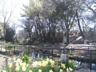 藤が丘公園