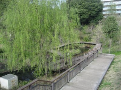 宮前美しの森公園