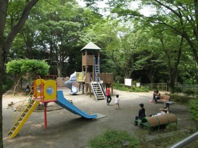 東高根森林公園