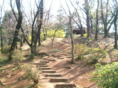 梶ヶ谷第2公園