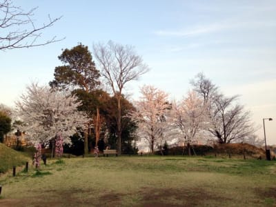 茅ヶ崎城址公園